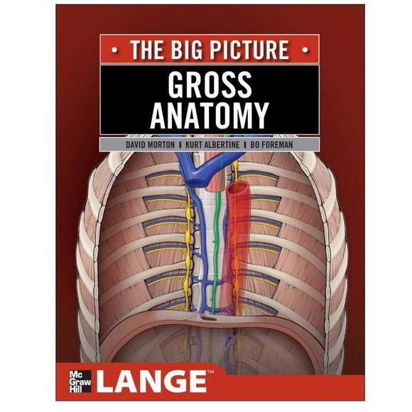 Gross Anatomy: The Big Picture (LANGE The Big Picture) - Picture 1 of 6